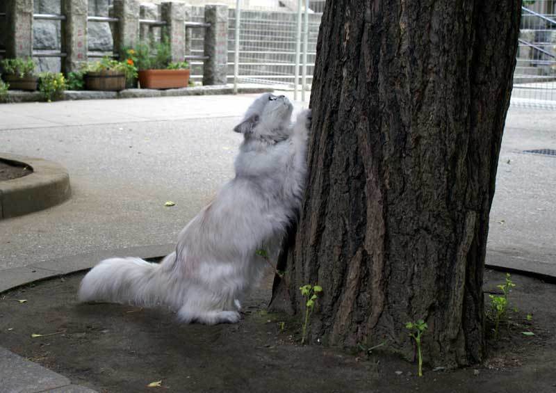200906-2.jpeg