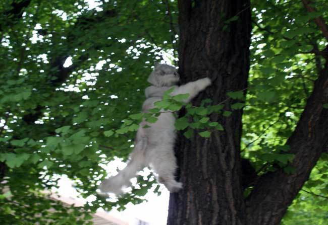 200906-3.jpeg
