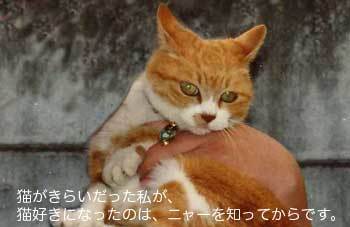 nya350_16.jpg